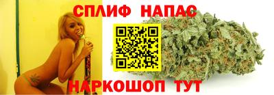 шишки Нарткала